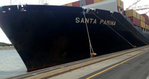 ZIM Charters Diana Container Ship